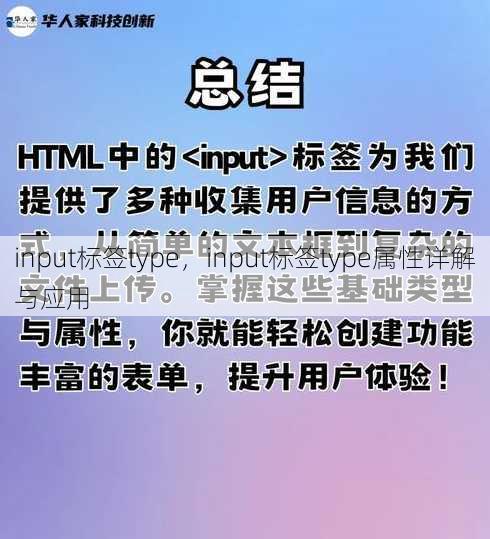 input标签type