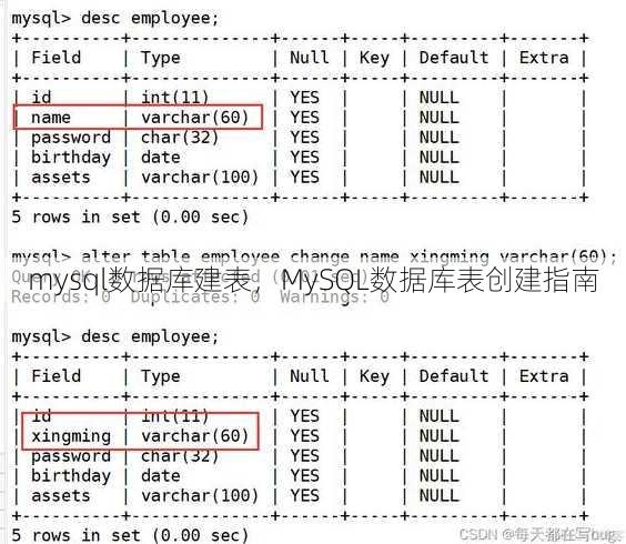mysql数据库建表