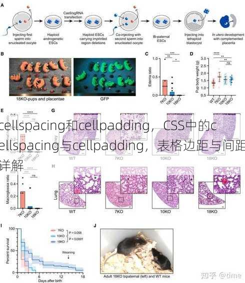 cellspacing和cellpadding