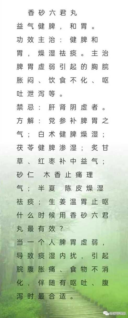 香砂六君丸和参苓白术丸哪个祛湿好（香砂六君丸和参苓白术散有什么区别）