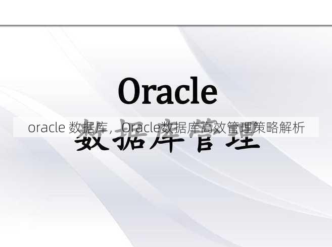 oracle 数据库