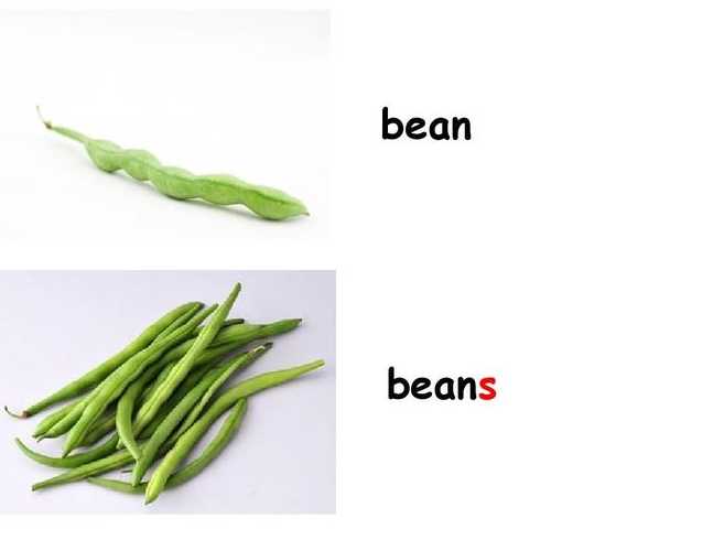 beancurd什么意思（bean什么意思英语）