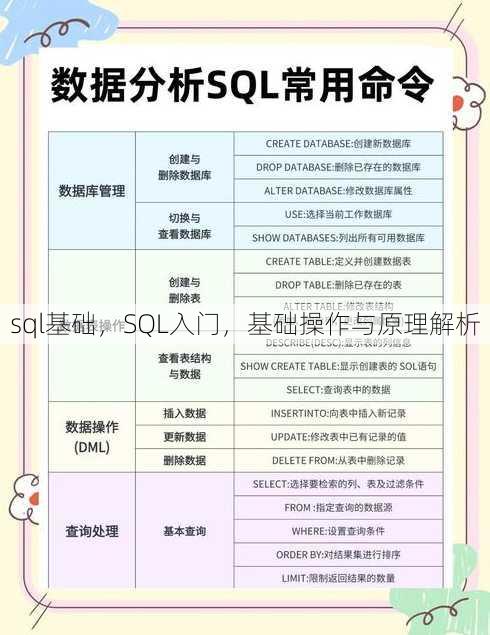 sql基础
