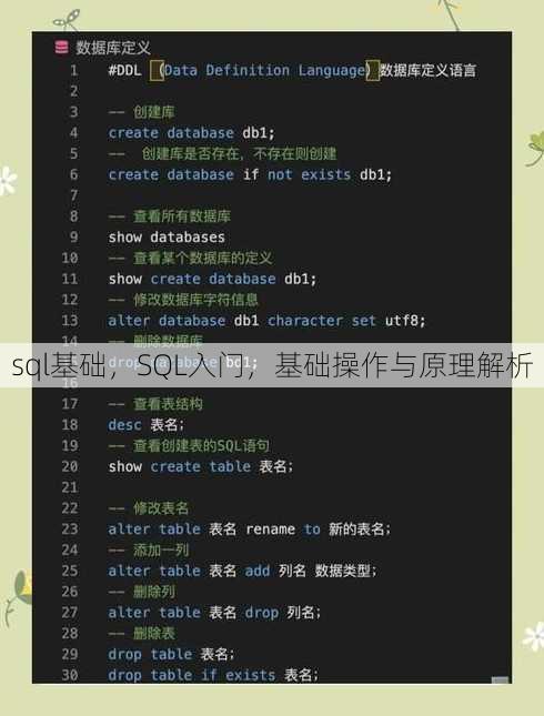 sql基础
