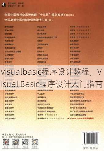 visualbasic程序设计教程