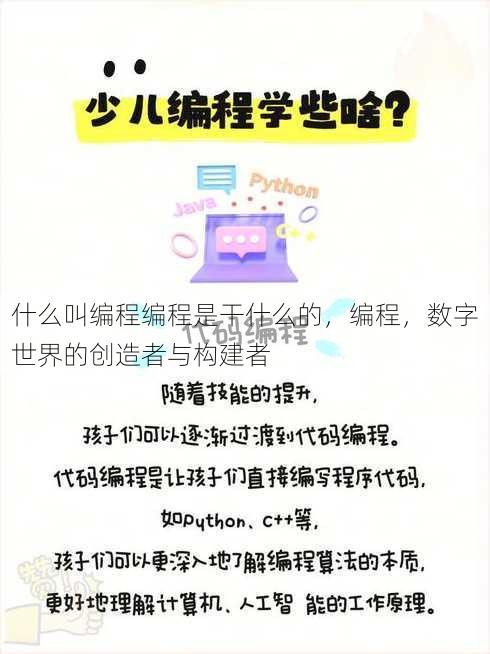 什么叫编程编程是干什么的