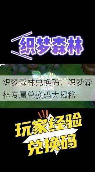 织梦森林兑换码