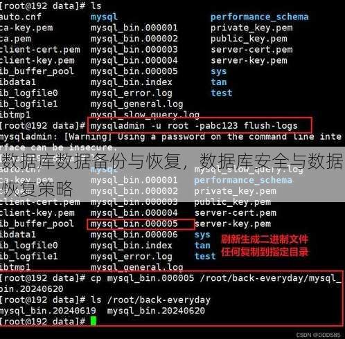 数据库数据备份与恢复