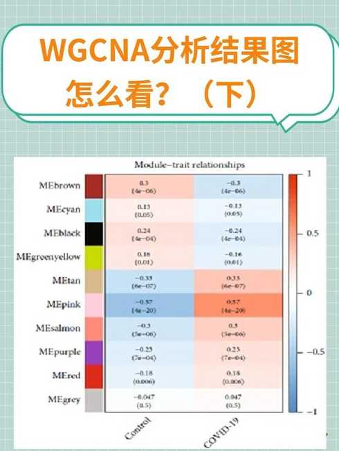 bootstrap检验怎么读（bootstrap检验结果分析）