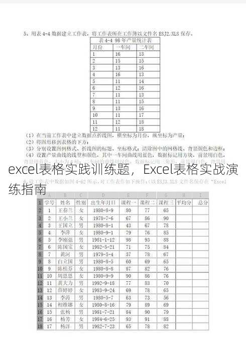 excel表格实践训练题