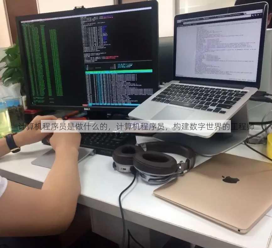 计算机程序员是做什么的