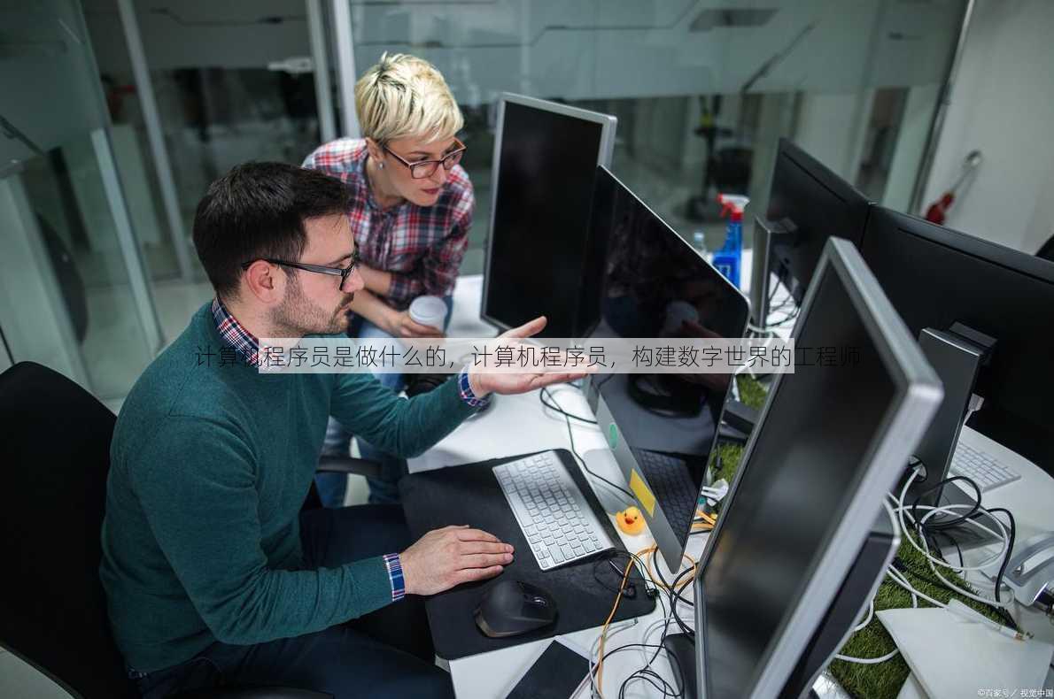 计算机程序员是做什么的