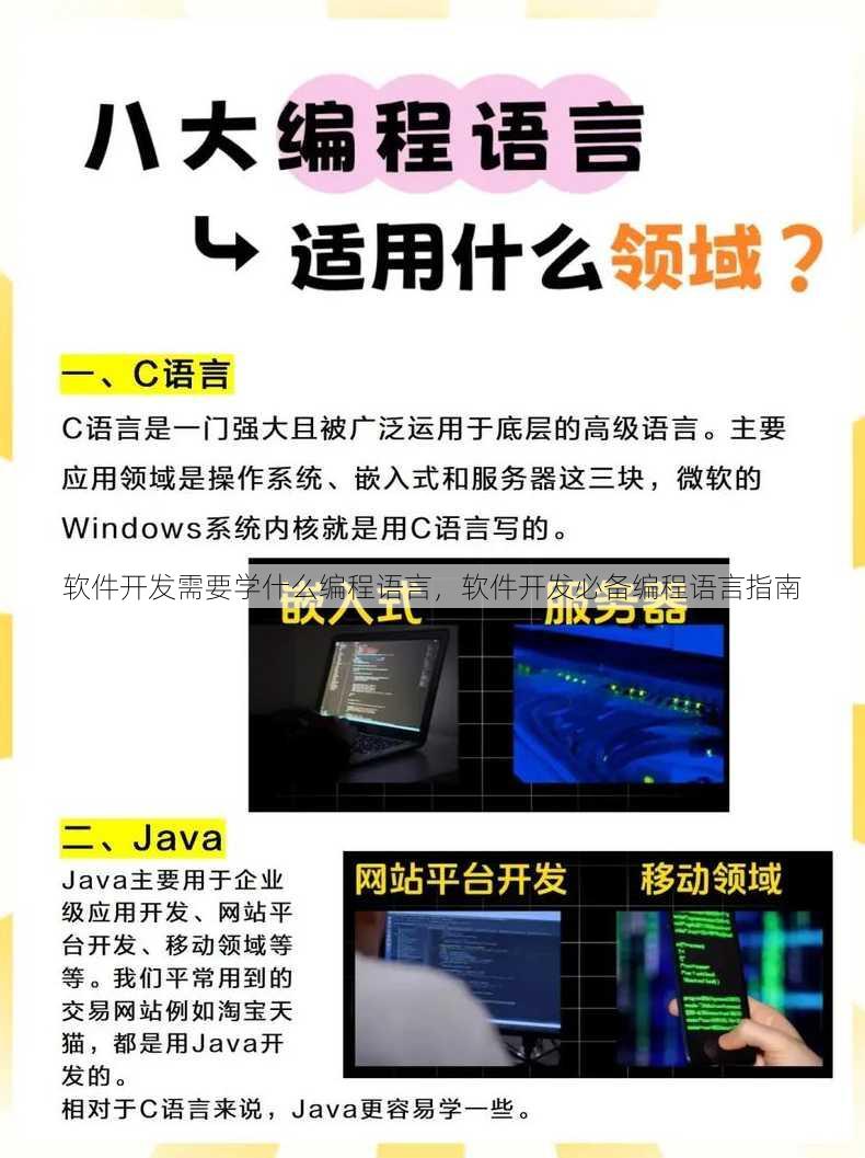 软件开发需要学什么编程语言