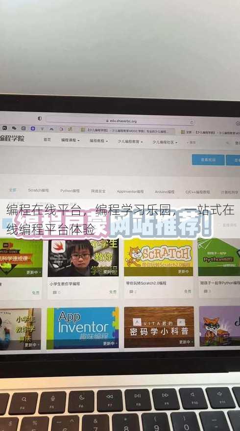 编程在线平台