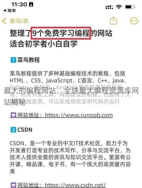 最大的编程网站