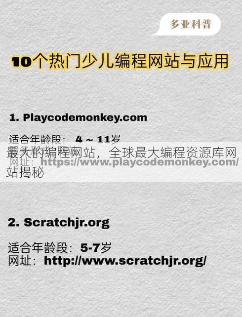 最大的编程网站