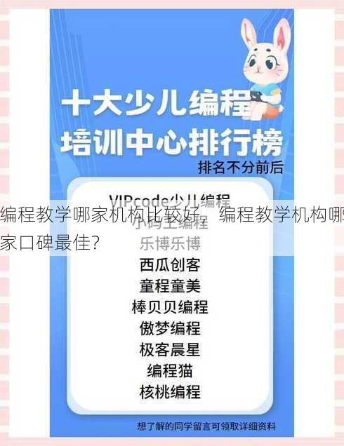 编程教学哪家机构比较好