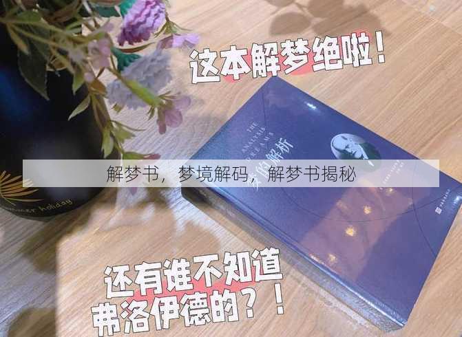 解梦书