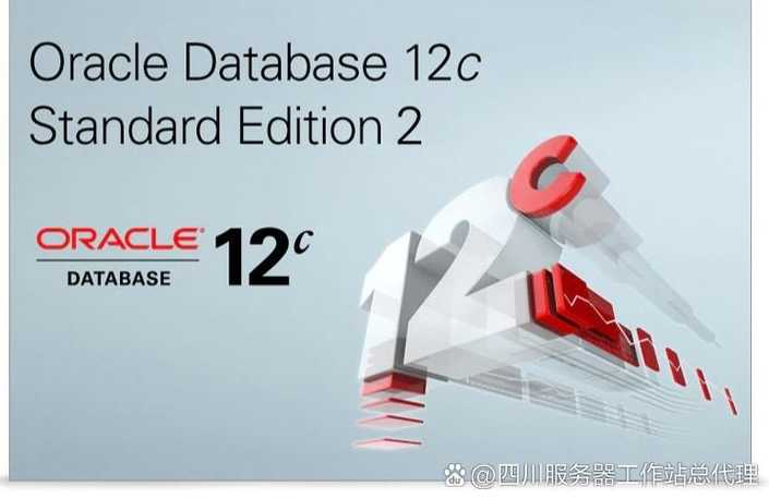 oracle11g是什么版本（oracle 11g 版本）