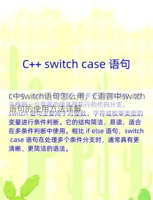 c中switch语句怎么用