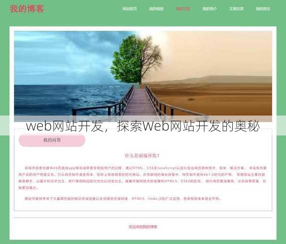 web网站开发