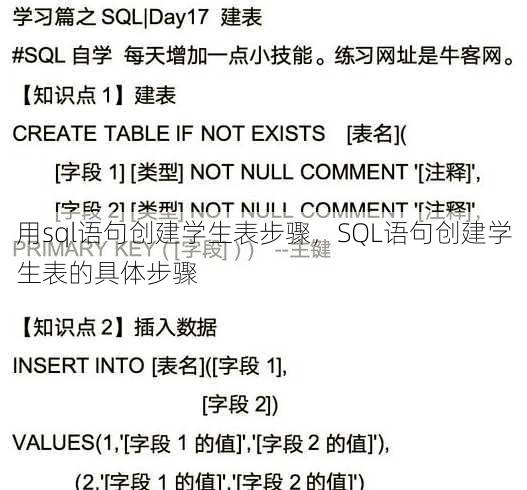 用sql语句创建学生表步骤