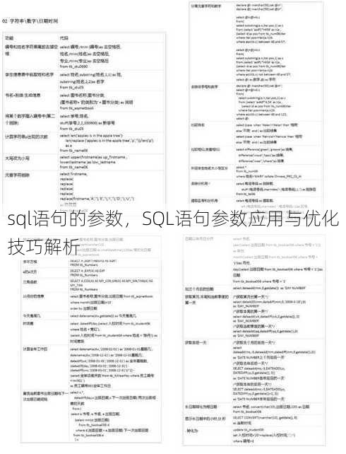 sql语句的参数