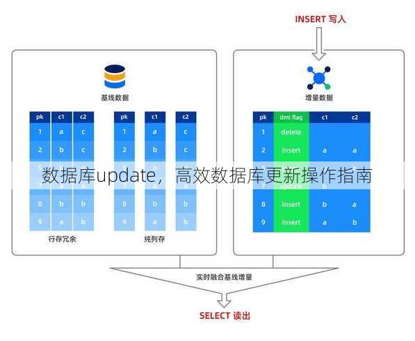 数据库update