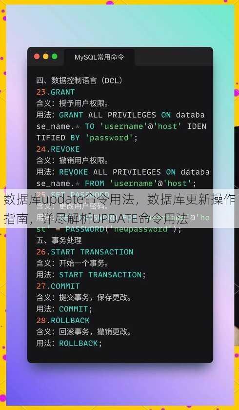数据库update命令用法