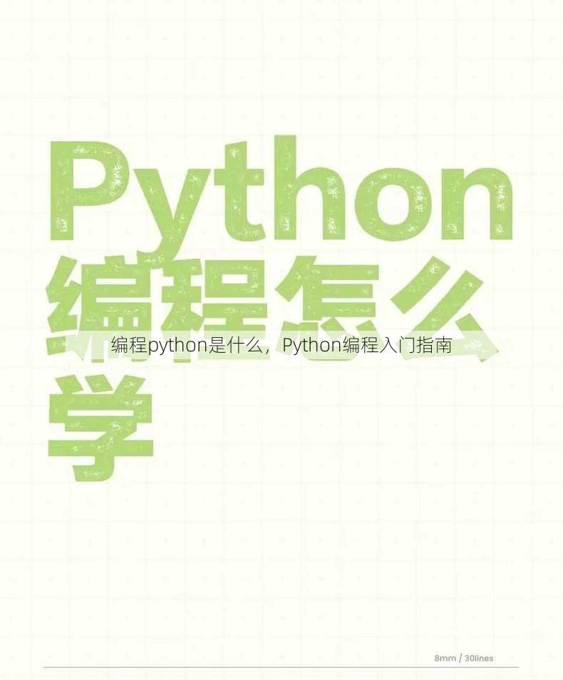 编程python是什么