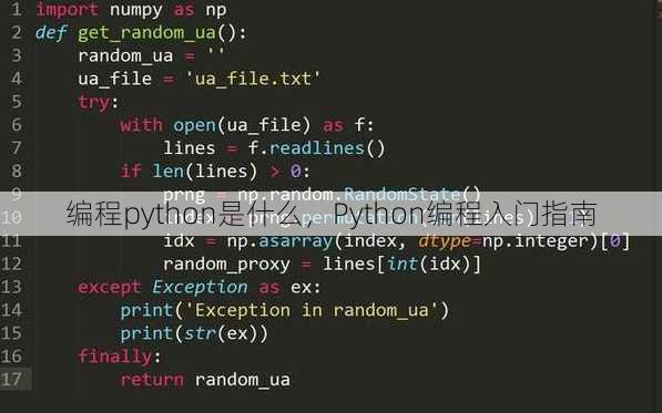 编程python是什么