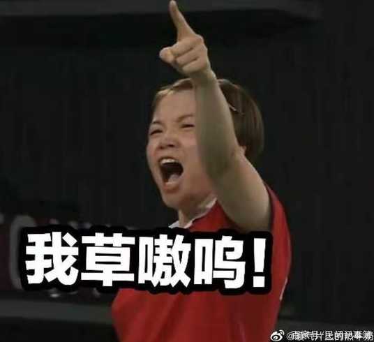 陈清晨c语言视频（陈清晨口头语）