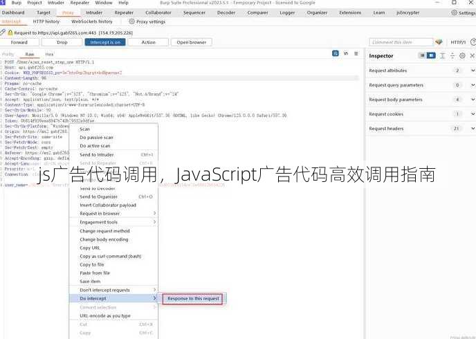 js广告代码调用