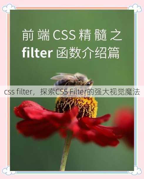 css filter