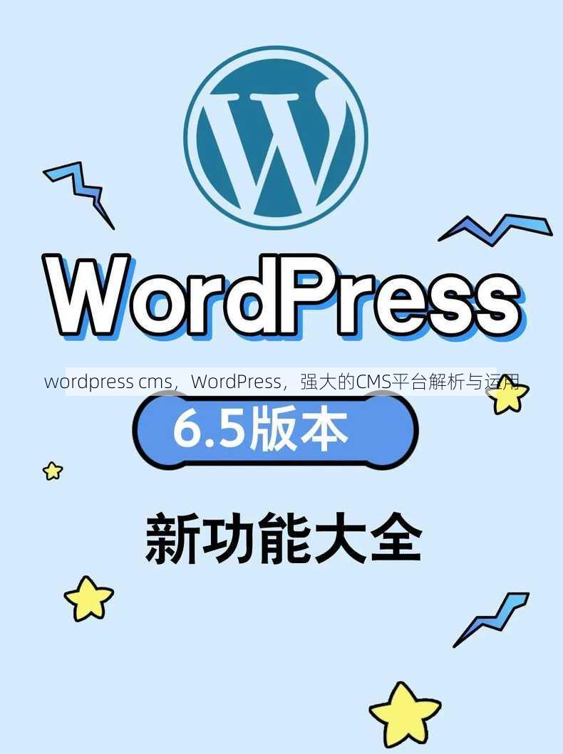 wordpress cms