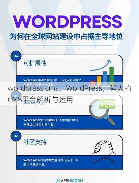 wordpress cms