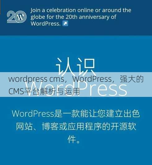 wordpress cms