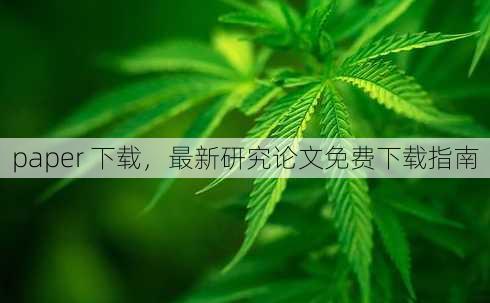 paper 下载