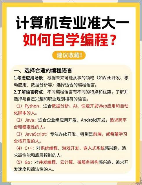 计算机编程入门教程视频（计算机编程入门教学视频）