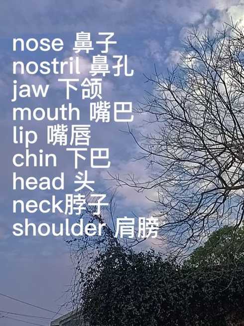 chestwidth（chestwidth翻译）