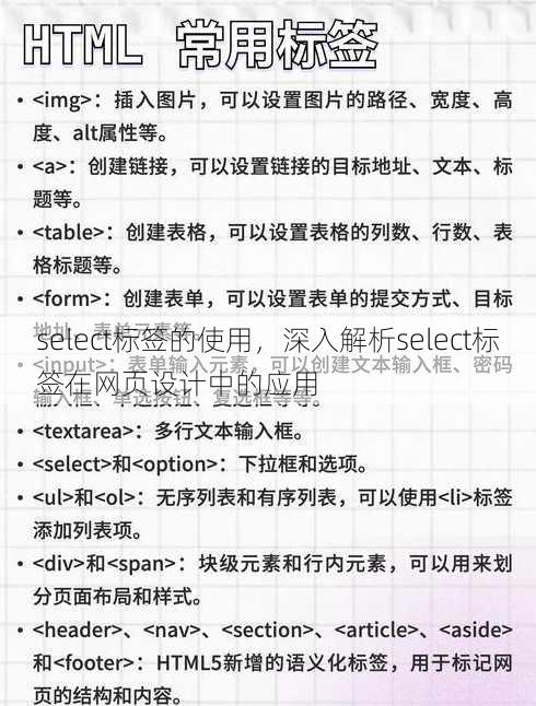 select标签的使用