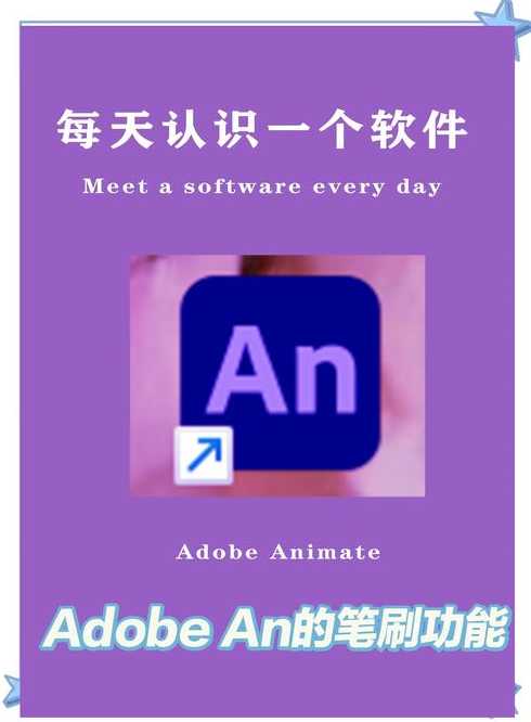 animateddrawings官网下载（animate官网登录入口）