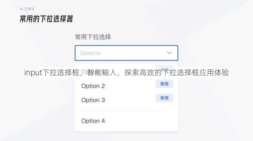 input下拉选择框