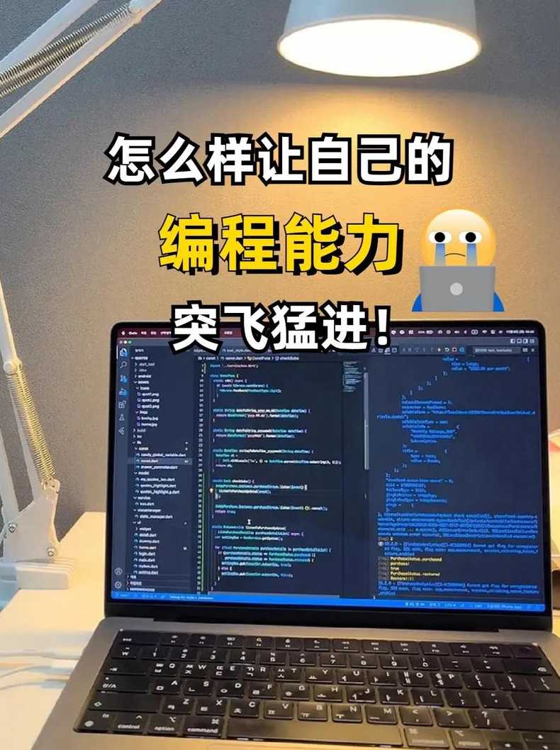 编程在电脑上怎么弄（怎样在电脑编程）