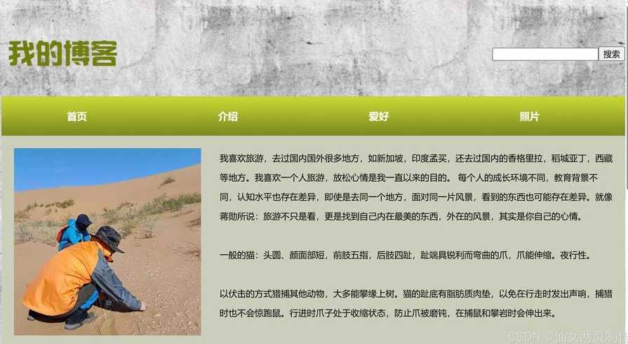 html博客网页完整代码（html个人博客代码）