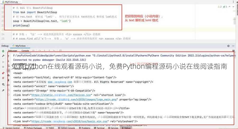 免费python在线观看源码小说