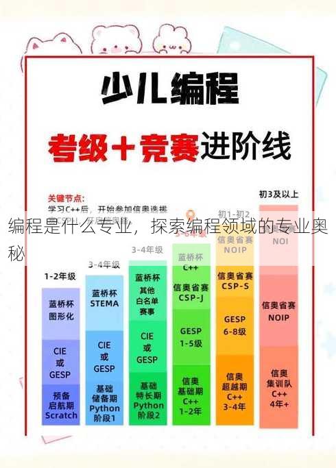 编程是什么专业