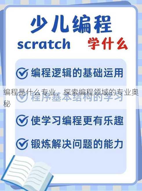 编程是什么专业