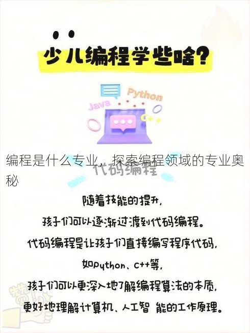 编程是什么专业