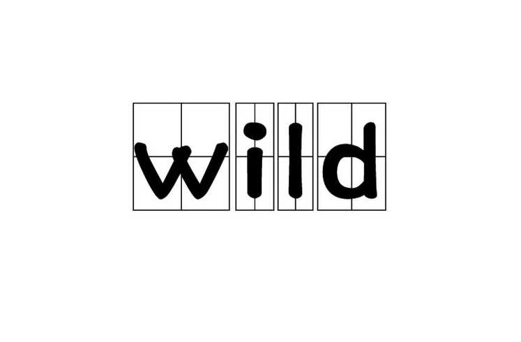 width怎么读英语（wild怎么读音发音英语）